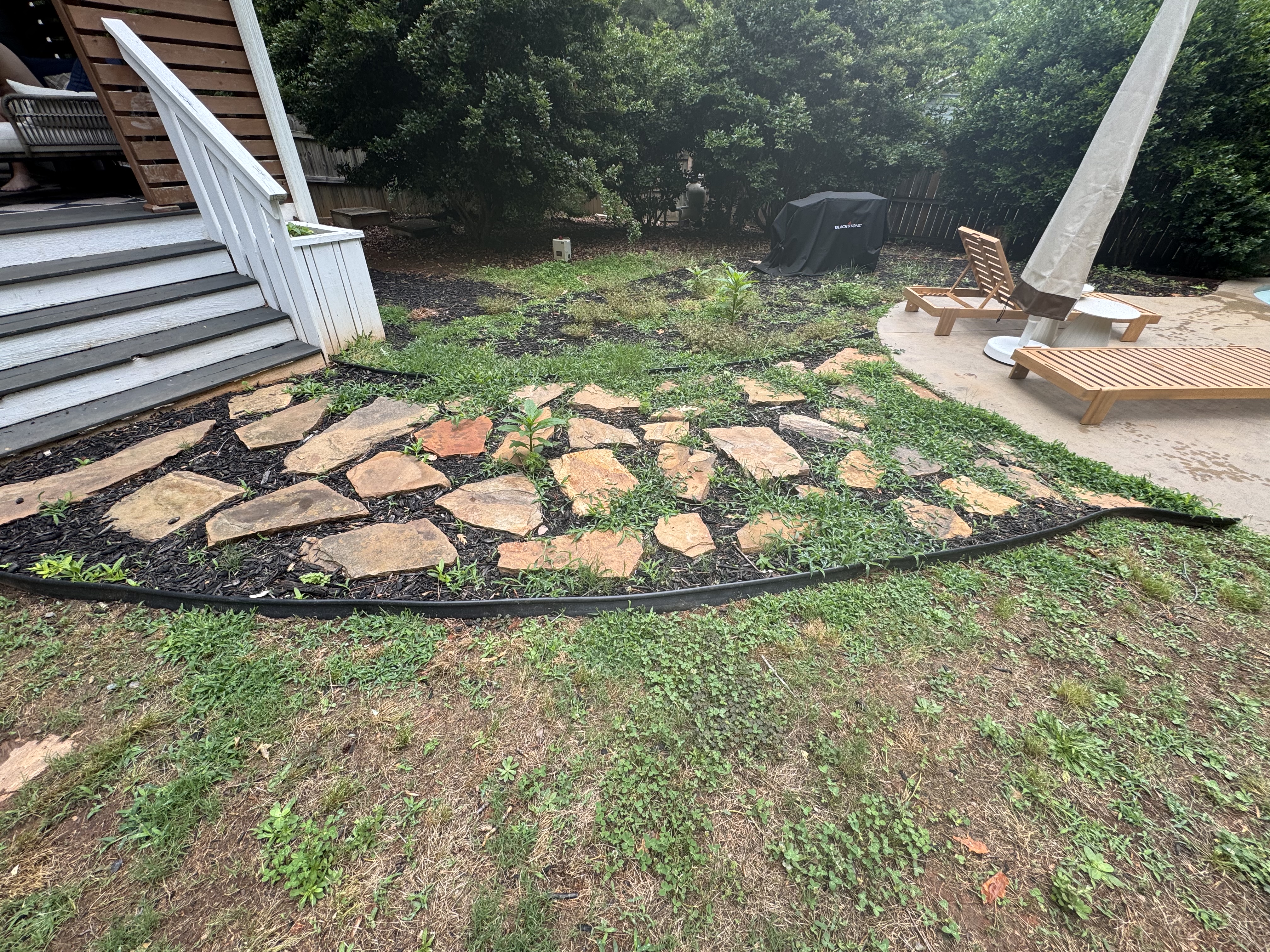 Overgrown yard before landscaping